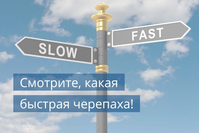 Смотрите, какая быстрая черепаха!